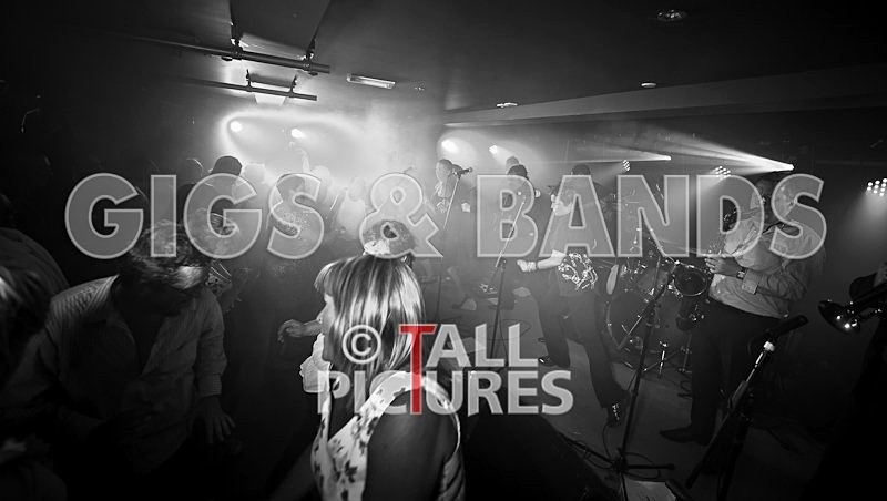 King Rat and the Soul Cats-119 - KING RAT & THE SOUL CATS