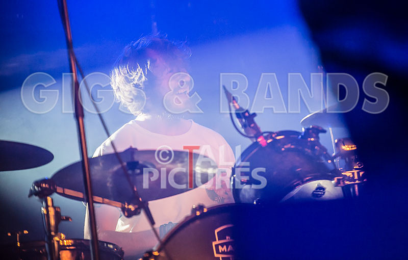 To the Woods-263 - TO THE WOODS