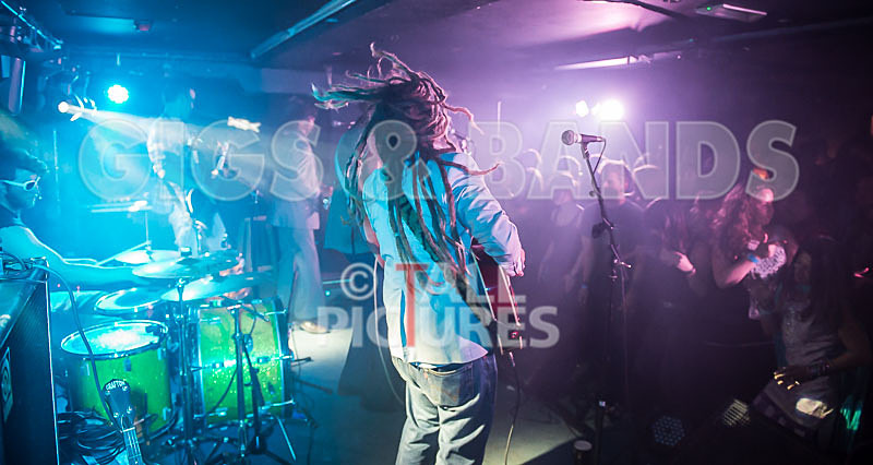 The Recks-222 - THE RECKS