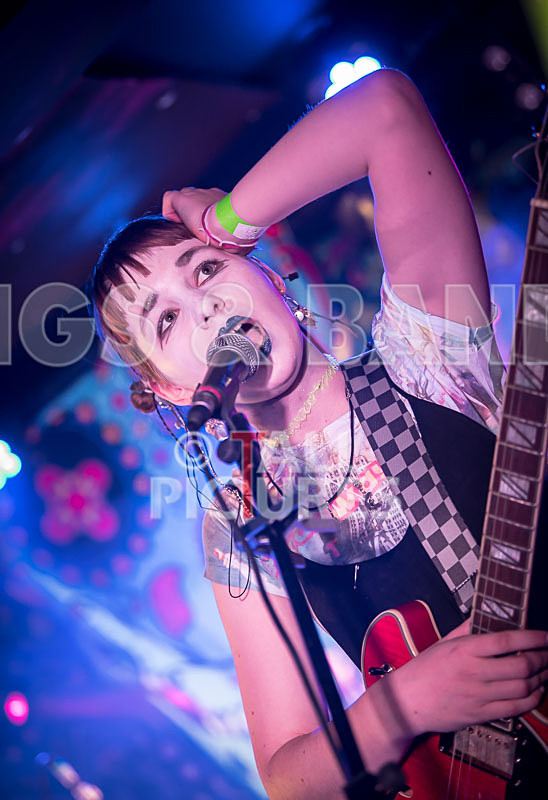 track not found-100 - track not found