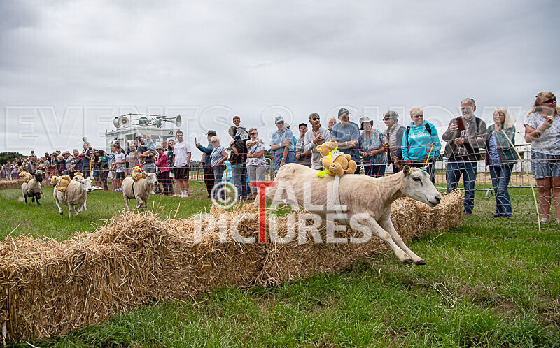 Guernsey Agricultural Show 2021-132 - GUERNSEY AGRICULTURAL SHOW 2021