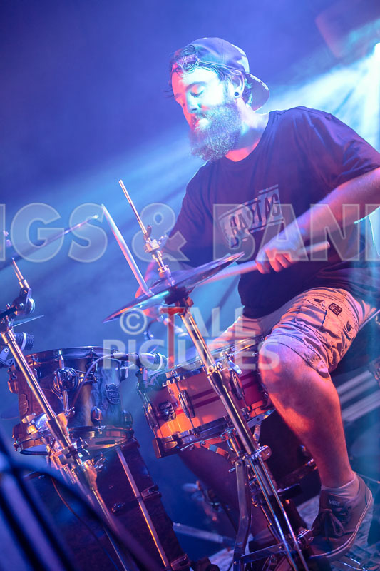 Static Alice-731 - STATIC ALICE