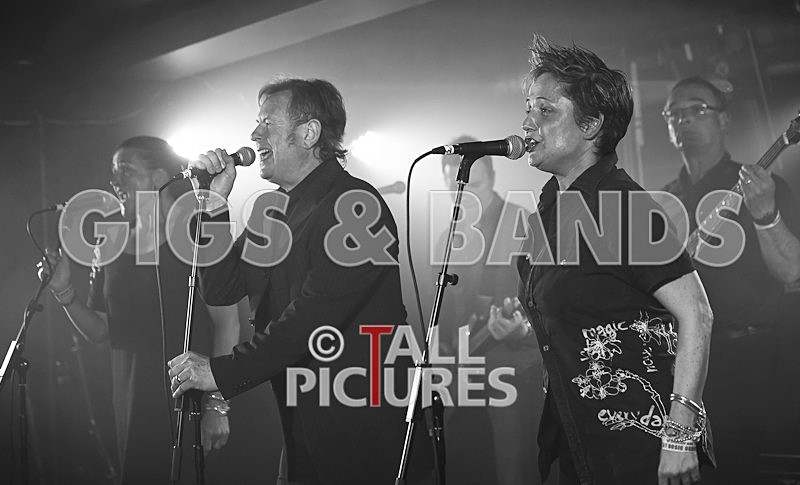 King Rat and the Soul Cats-6 - KING RAT & THE SOUL CATS