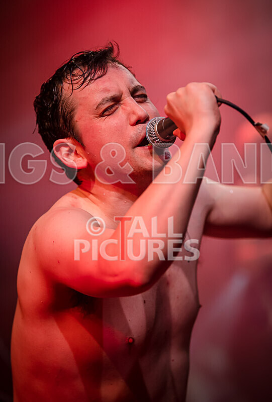 Pigsx7-45 - PIGS PIGS PIGS PIGS PIGS PIGS PIGS