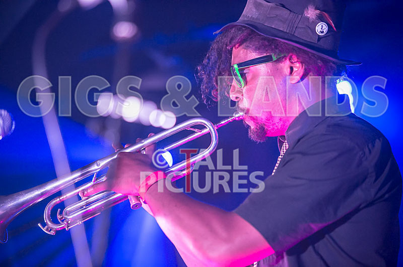 The Recks-345 - THE RECKS