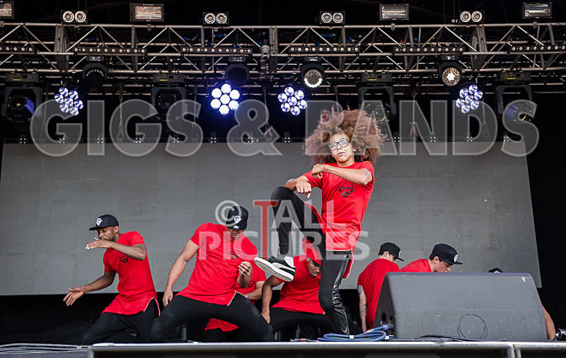 Diversity-25 - DIVERSITY