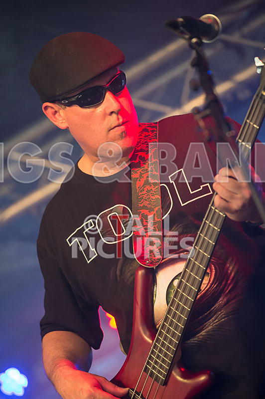 Stalk the Lantern-2 - STALK THE LANTERN