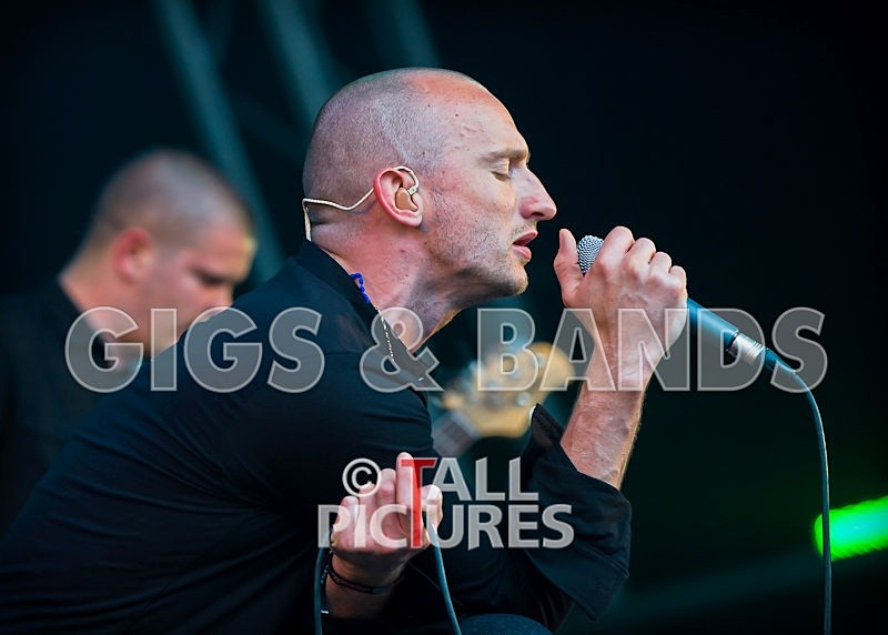 The Music-12 - THE MUSIC