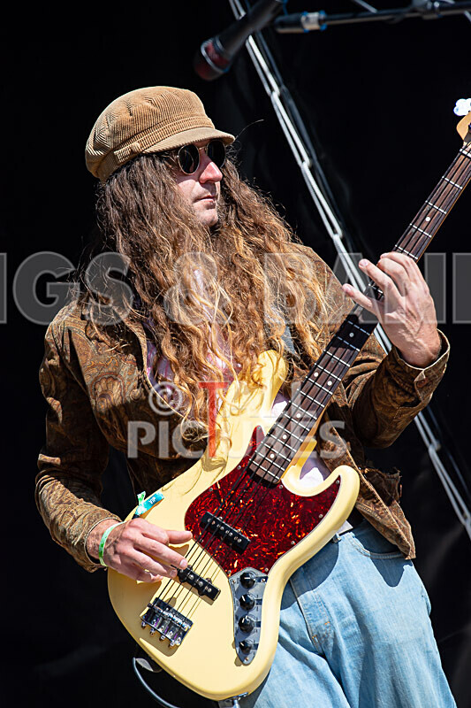 Eloise Fabbri  the Big Bad Beauty Band-74 - ELOISE FABBRI & THE BIG BAD BEAUTY BAND