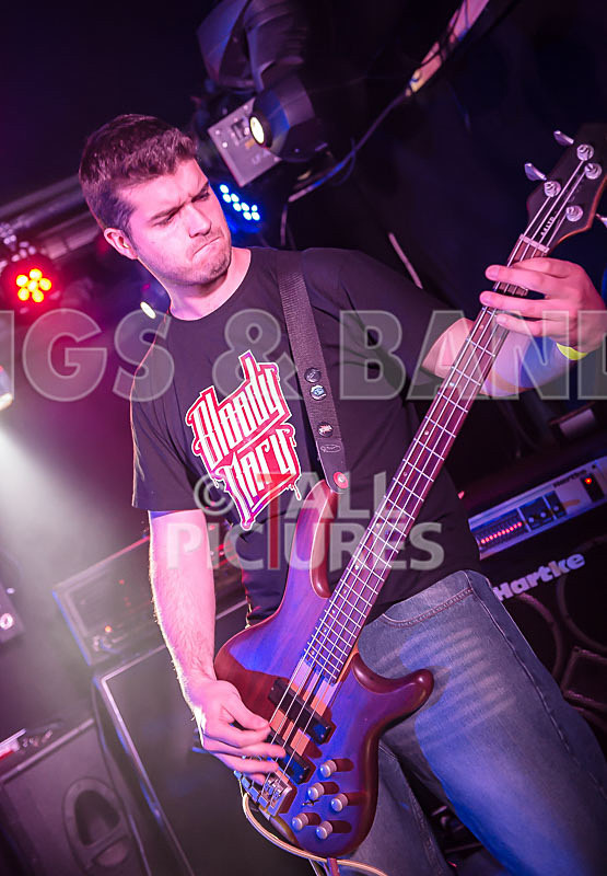 Demise of Sanity-83 - DEMISE OF SANITY