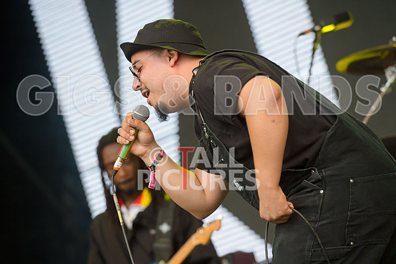 Kiko Bun-22 - KIKO BUN