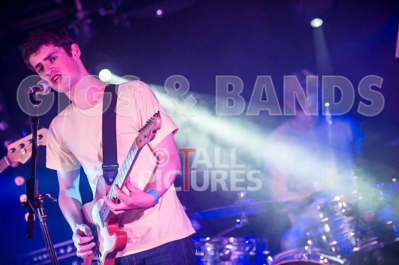 China Aster-91 - CHINA ASTER