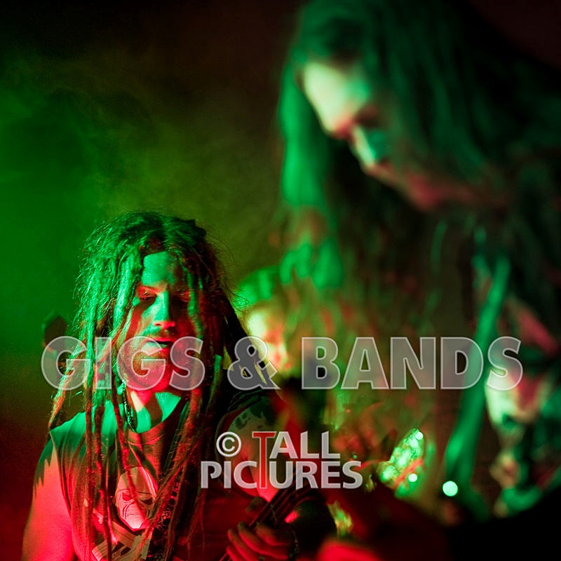 Maiden Guernsey-55 - MAIDEN GUERNSEY at RoA-2