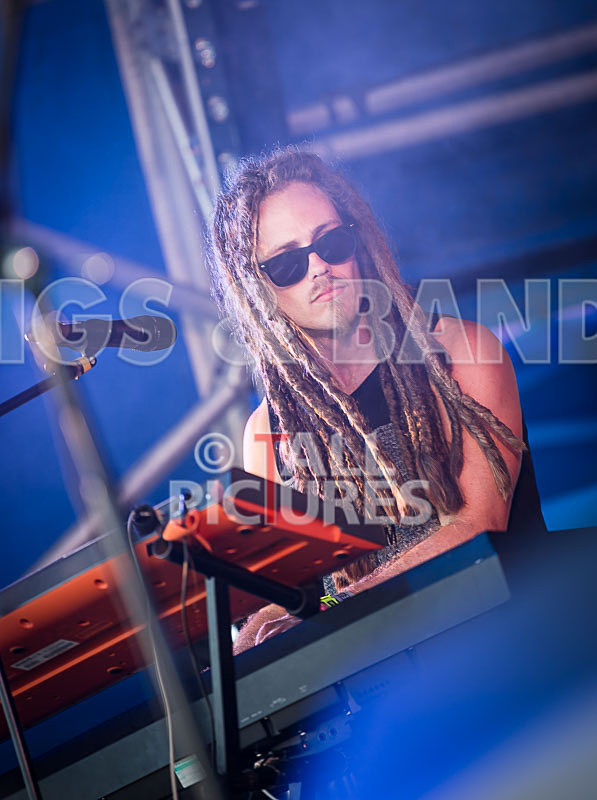 Tree House Fire-36 - TREE HOUSE FIRE