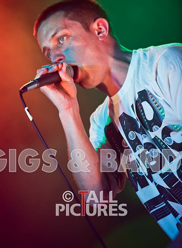 Asylum Seekas-29 - ASYLUM SEEKAS AT IVY CASTLE