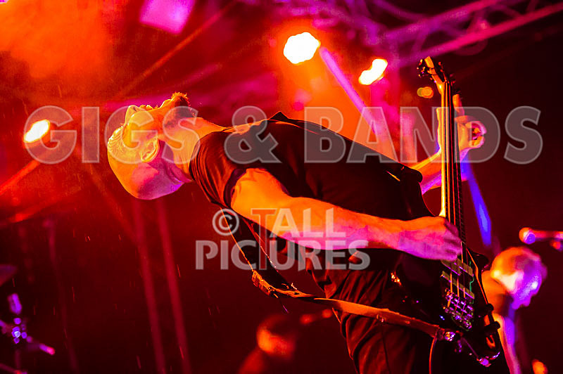 Therapy--3 - THERAPY?