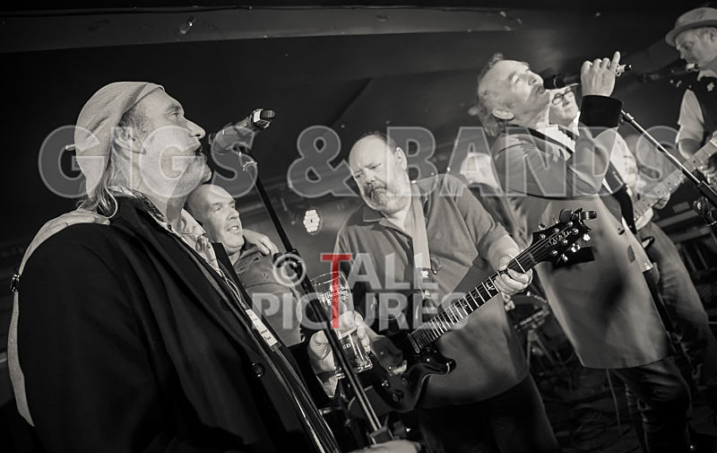 Alfie Bartons 25th Anniversary Gig-113 - ALFIE BARTON'S 25th ANNIVERSARY SPECIAL