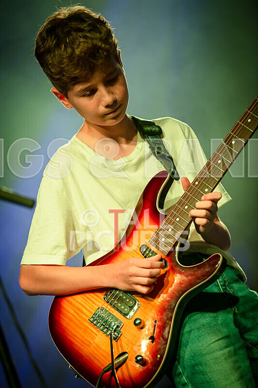 Alysida-31 - ALYSIDA