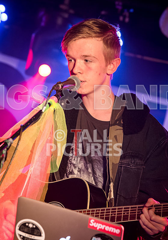 Zak Trimmer-15 - ZAK TRIMMER