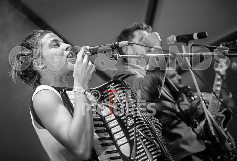 Molotov Jukebox-10 - MOLOTOV JUKEBOX