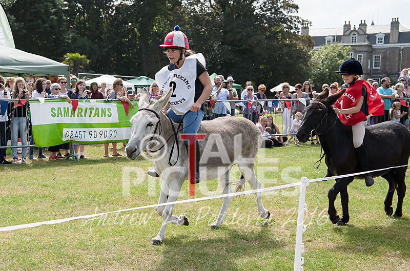 Donkey Derby_2016-22 - LIONS CLUB DONKEY DERBY 2016