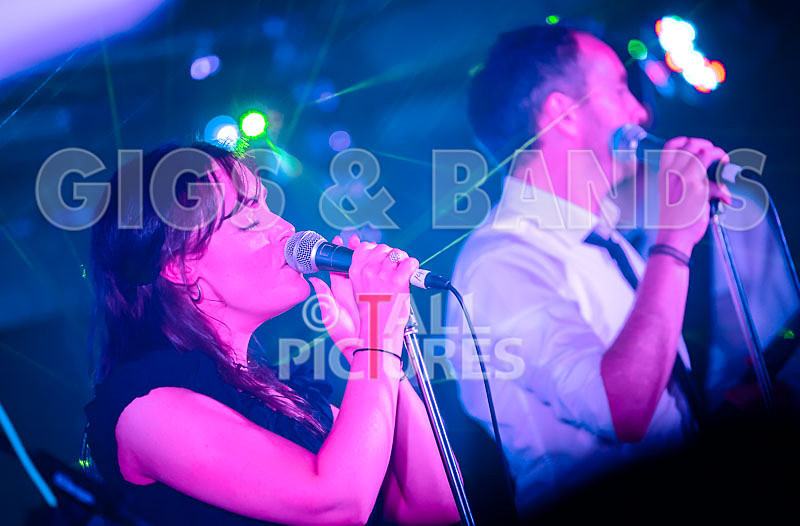 The Erawigs-95 - THE ERAWIGS