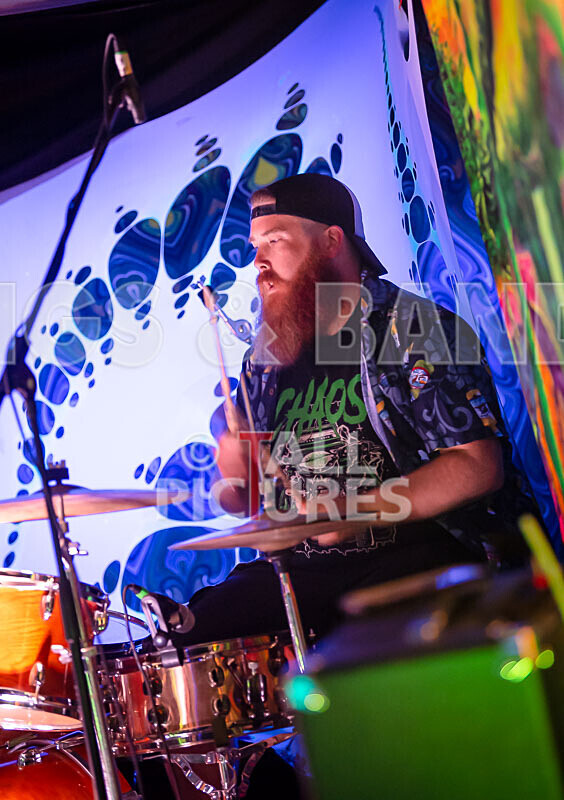 Honest Crooks-246 - HONEST CROOKS