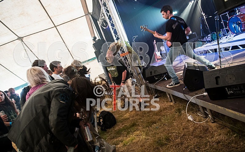 Stone Em All-7 - STONE EM ALL