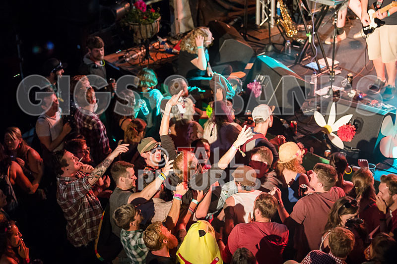 Vale Earth Fair 2017_SCENE-33 - VALE EARTH FAIR 2017_THE SCENE