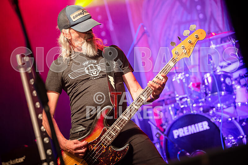 The Electric Shakes-191 - THE ELECTRIC SHAKES