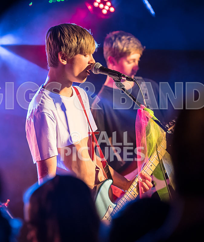 Cosmic Fish-31 - COSMIC FISH