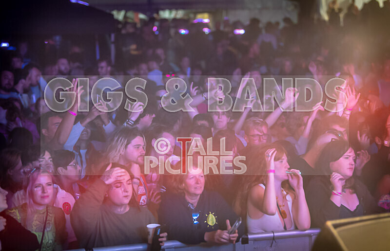 Vale Earth Fair 2022_The Scene-93 - VALE EARTH FAIR 2022_THE SCENE