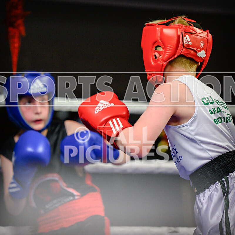 BOUT- 2_Larsson Doherty v Eli Cole-4 - BOUT 2_Larsson Doherty v Eli Cole