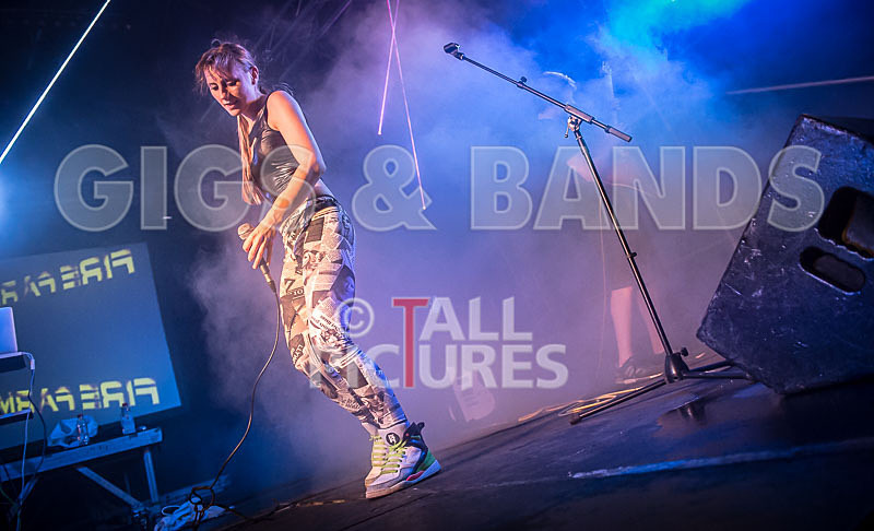 FireFarm-55 - FIREFARM