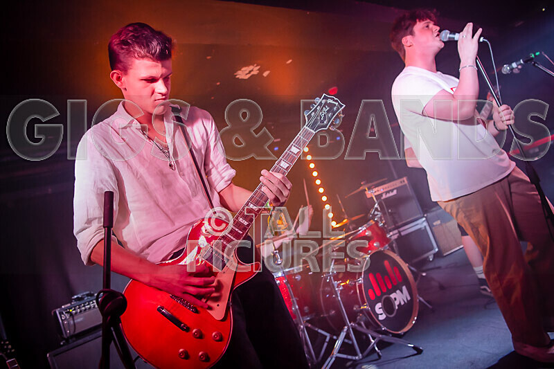 Black Dog-35 - BLACK DOG