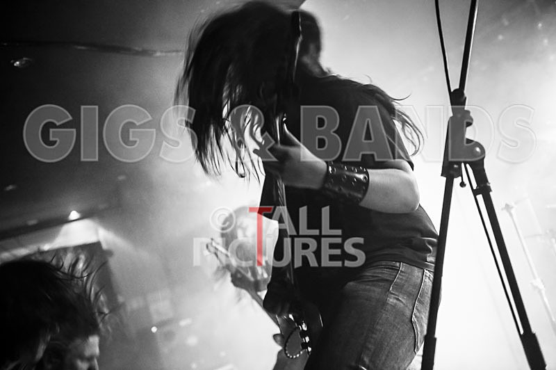 Stone Em All-198 - STONE EM ALL