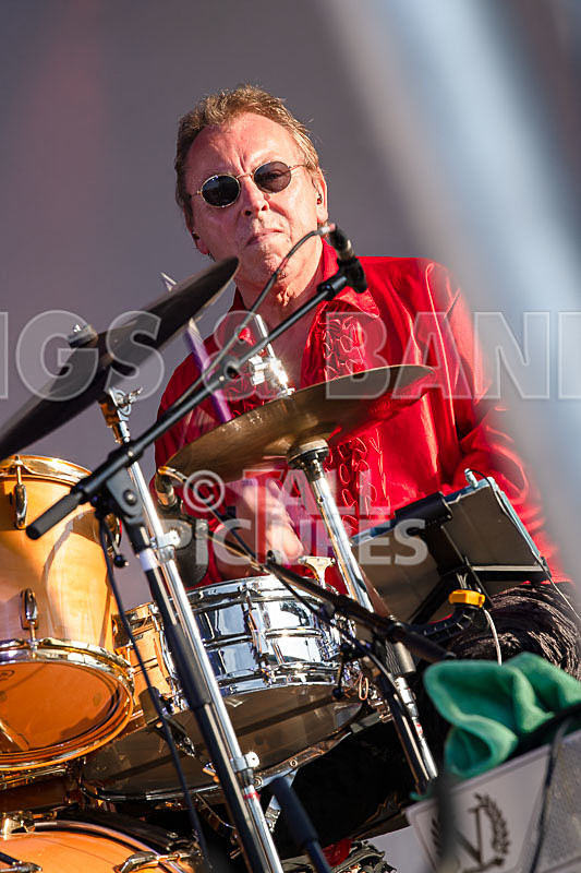 The Bowie Experience-15 - THE BOWIE EXPERIENCE