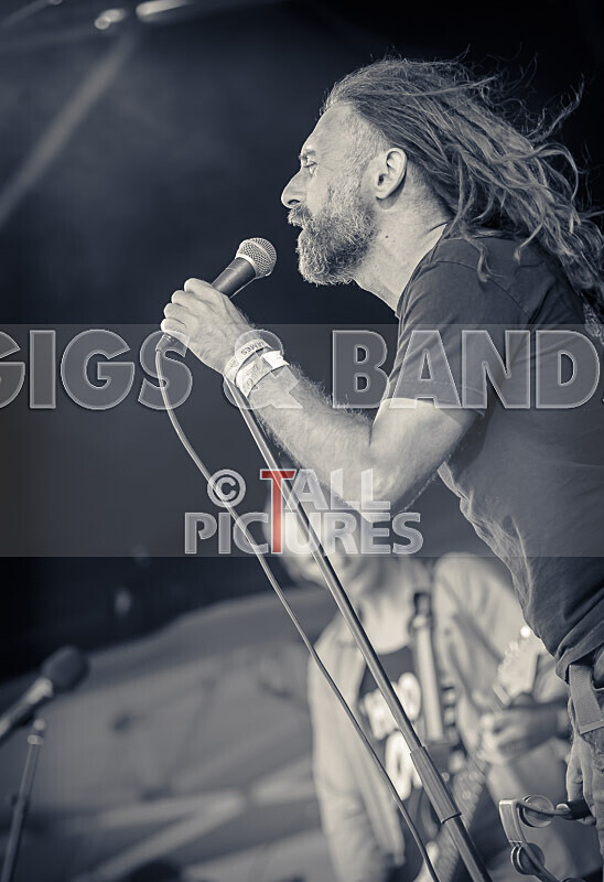 Benny the Moth-127 - BENNY THE MOTH