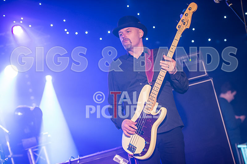 Peppered Ant Legs-165 - PEPPERED ANT LEGS