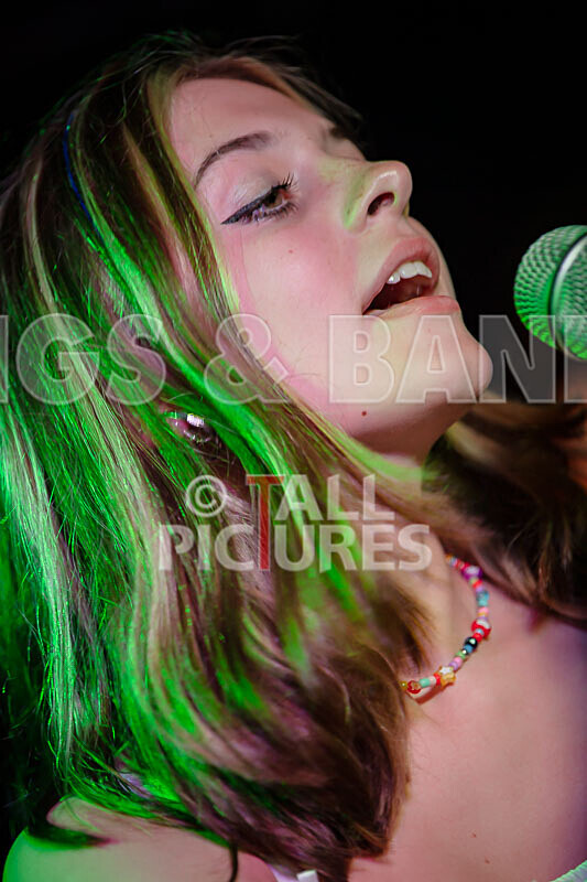 12 Gauge-68 - 12 GAUGE