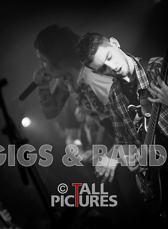 Five Across the Eyes-8 - FIVE ACROSS THE EYES at RoA-5