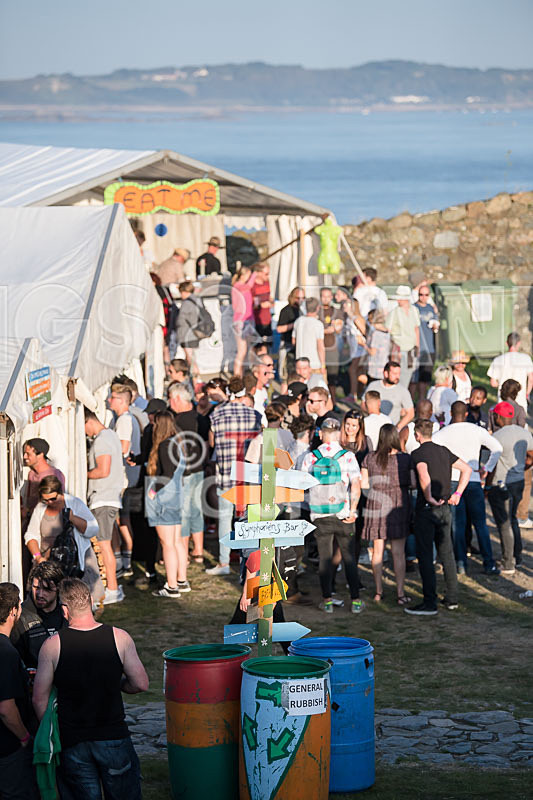 Vale Earth Fair 2017_SCENE-2 - VALE EARTH FAIR 2017_THE SCENE