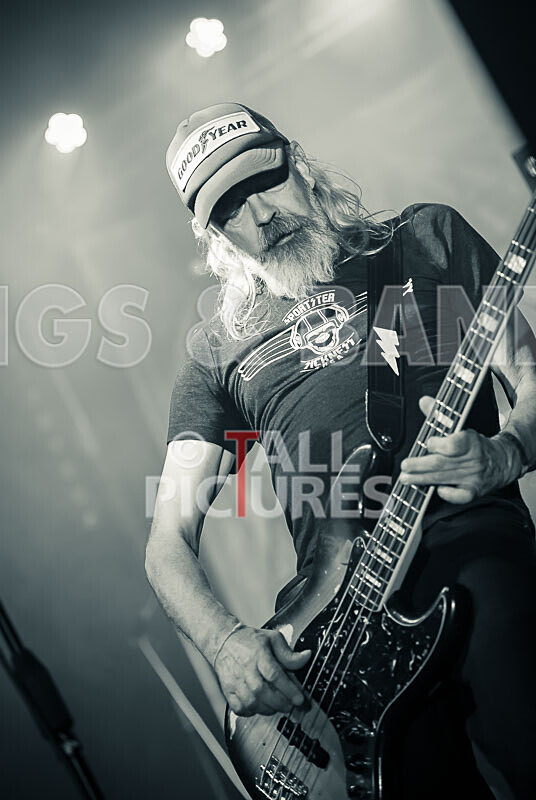 The Electric Shakes-200 - THE ELECTRIC SHAKES