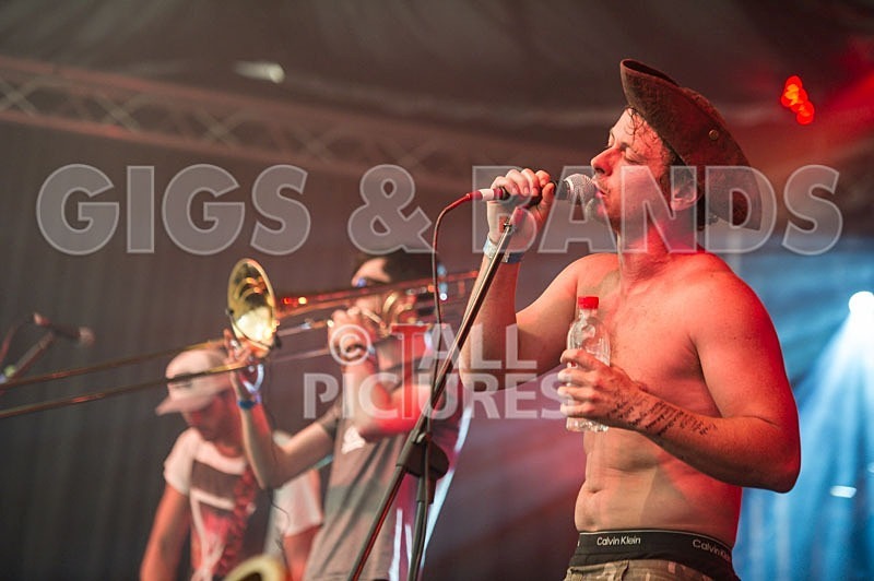 Chaos 2013_Pirate Party Brigade-2 - PIRATE PARTY BRIGADE