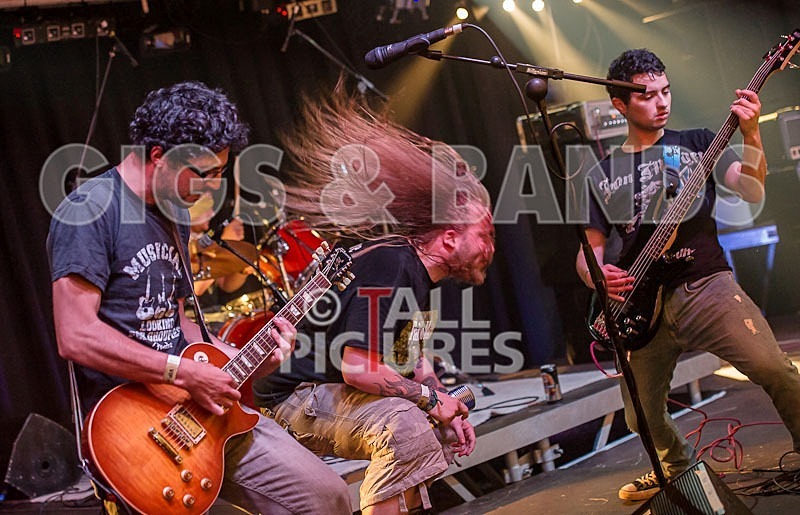 Stone Em All-1 - STONE EM ALL