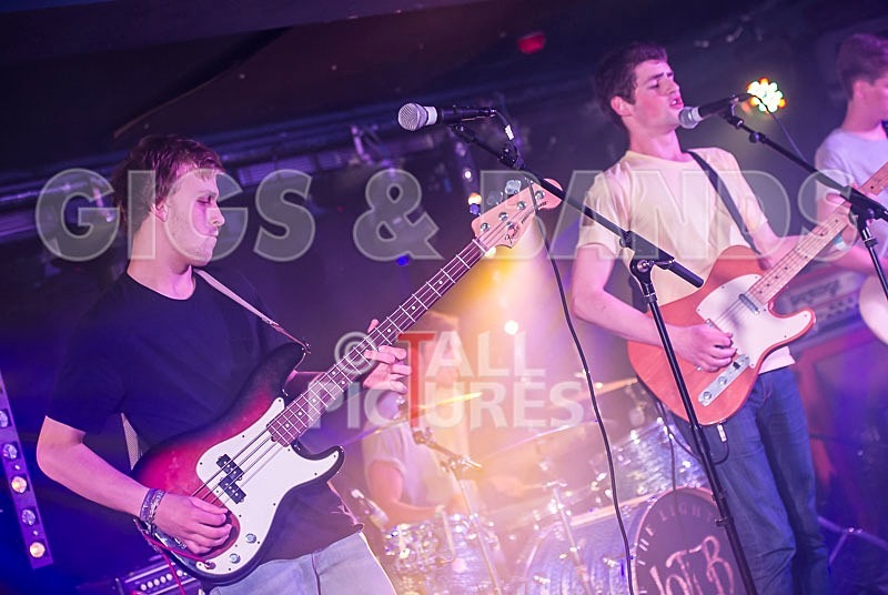 China Aster-106 - CHINA ASTER