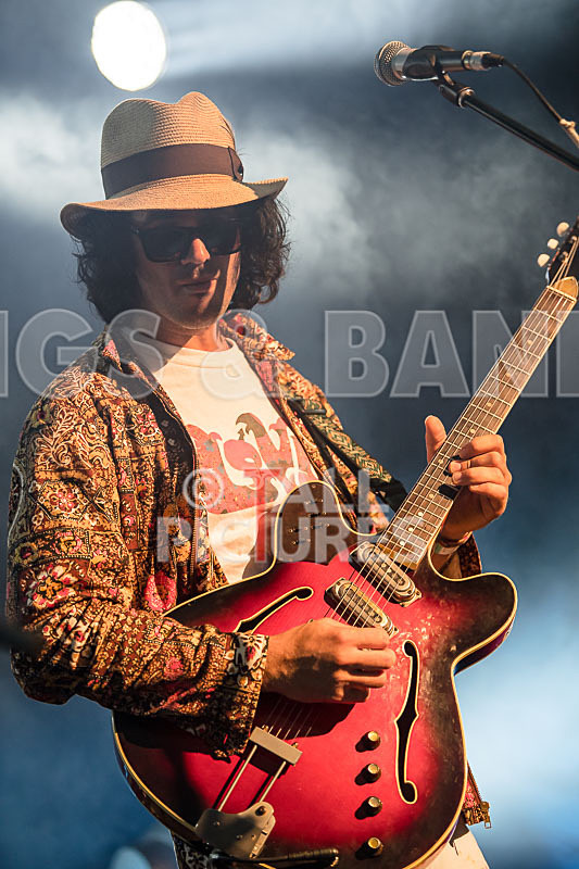 Surfin Birds-36 - SURFIN' BIRDS