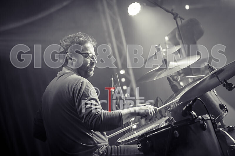 The Vinyls-10 - THE VINYLS