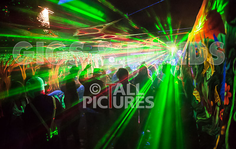 Vale Earth Fair_Atmosphere_2014-42 - VALE EARTH FAIR 2014 - THE ATMOSPHERE