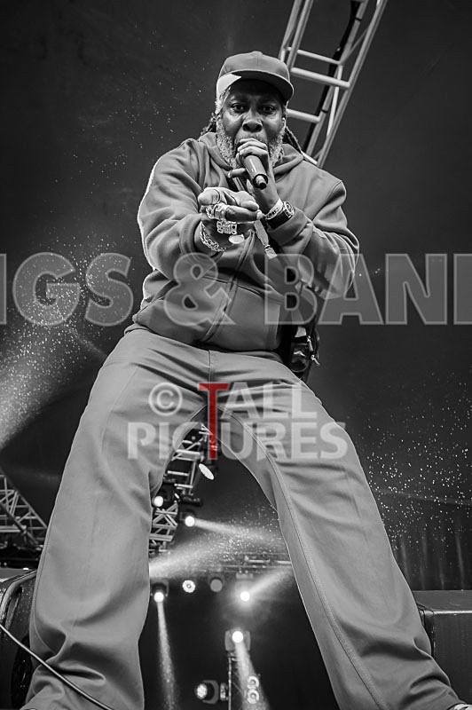 Prince Fatty Soundsystem-10 - PRINCE FATTY SOUNDSYSTEM